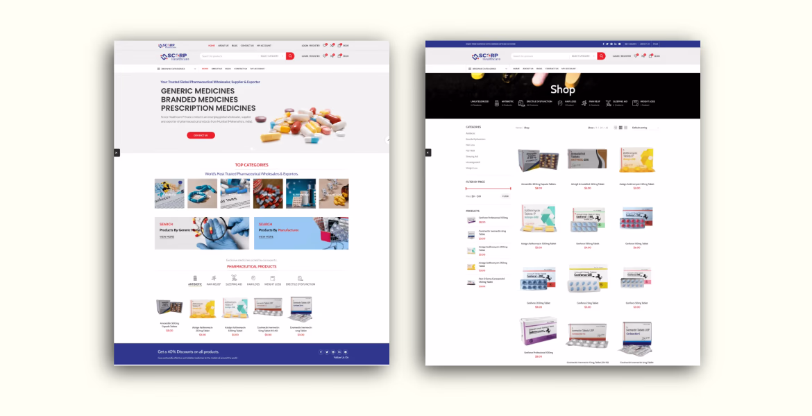 Ecommerce Website Design in india