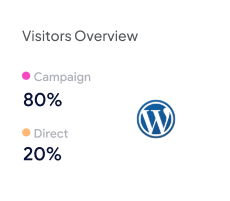 Visitors Overview WordPress